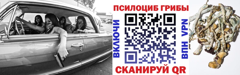 Псилоцибиновые грибы мицелий  Купить  Межгорье 